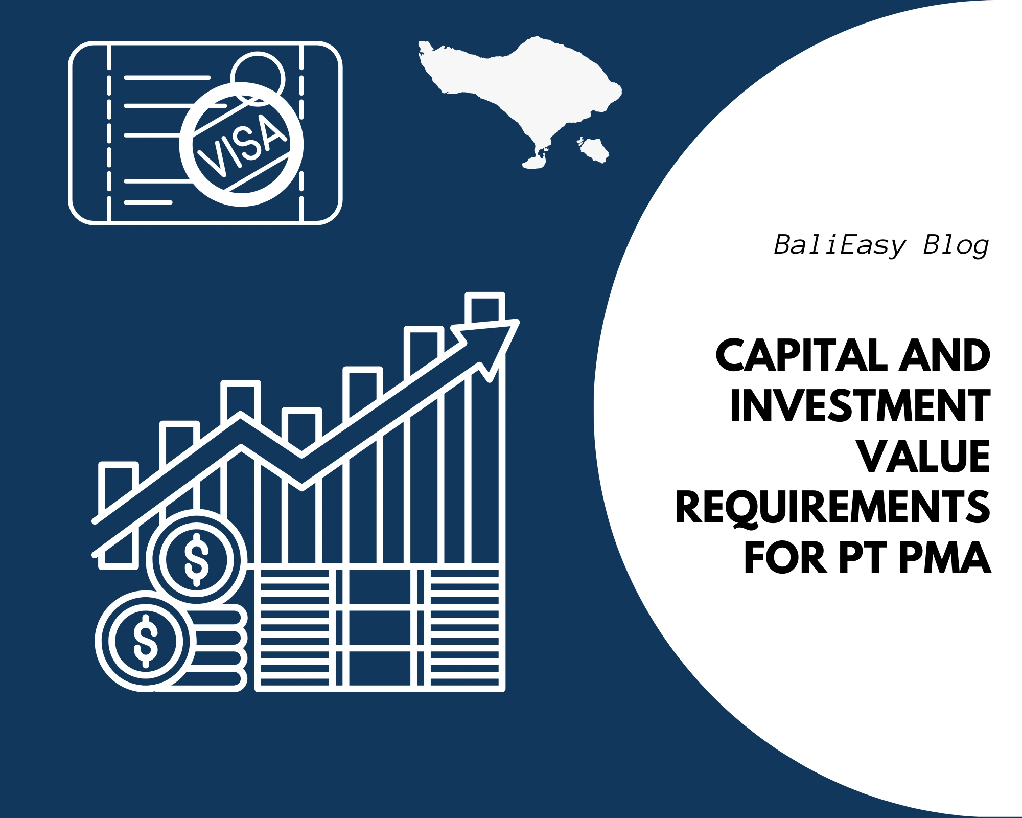 Capital and Investment Value Requirements for PT PMA