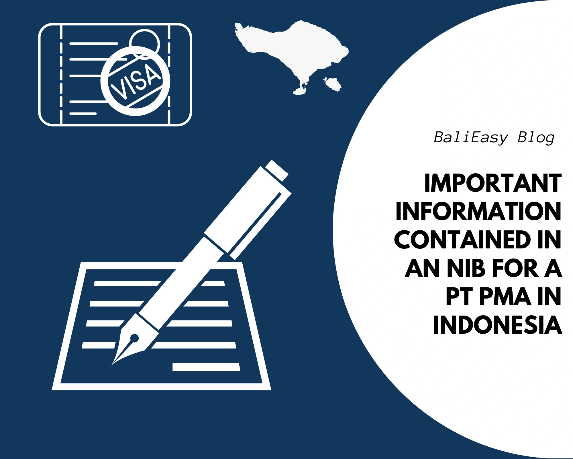 Important Information Contained in an NIB for a PT PMA